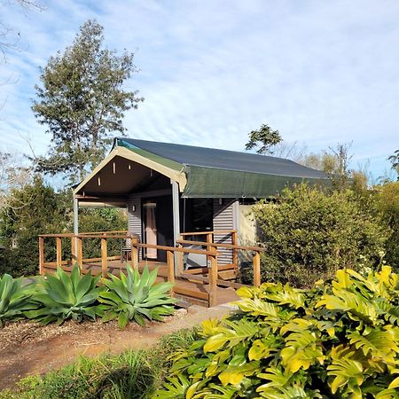 Southern Sky Glamping Núi Tamborine Ngoại thất bức ảnh